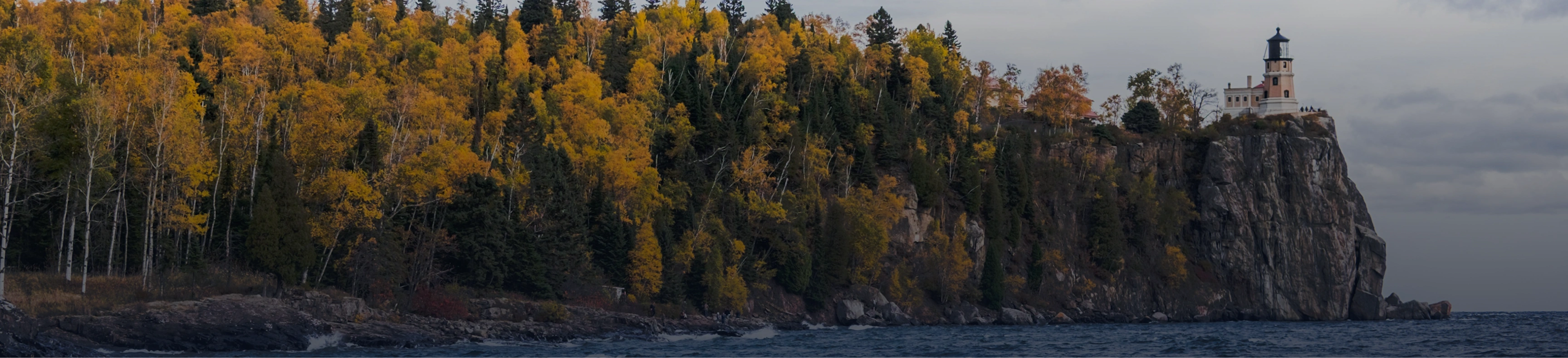 Predict the outcome of Minnesota Governor Democratic Primary Winner