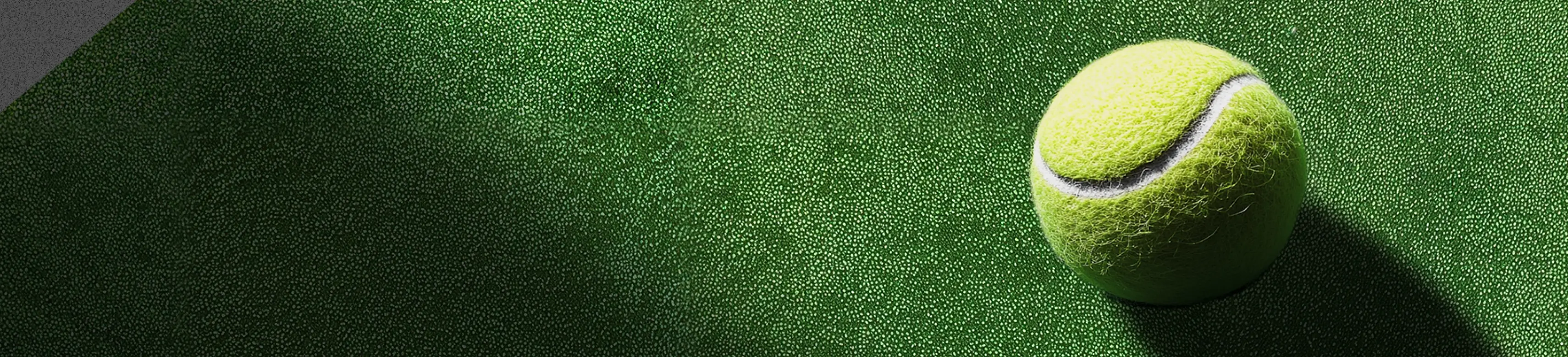 Predict the outcome of Women's Australian Open Winner 2026